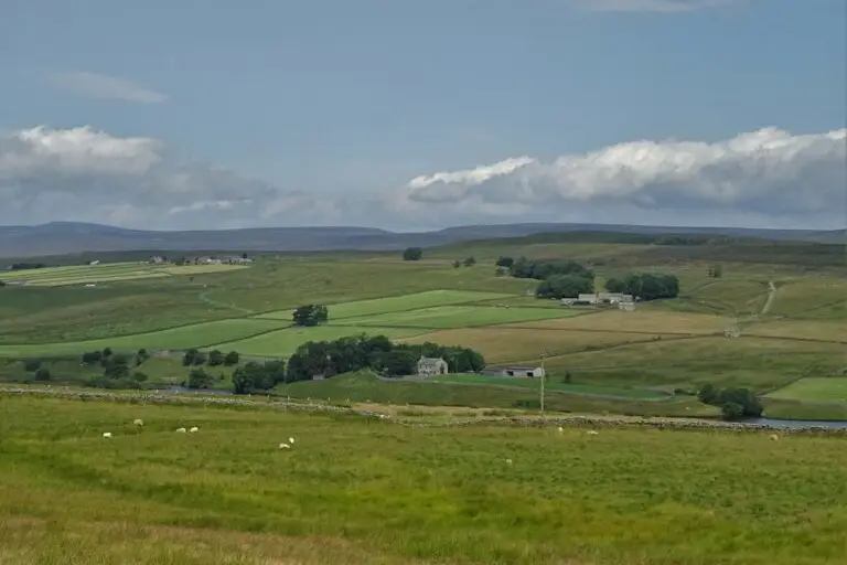 Low Birk Hatt: Durham Wildlife Trust nature reserve